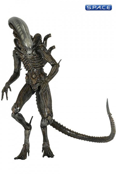 Isolation Xenomorph (Aliens Series 6)