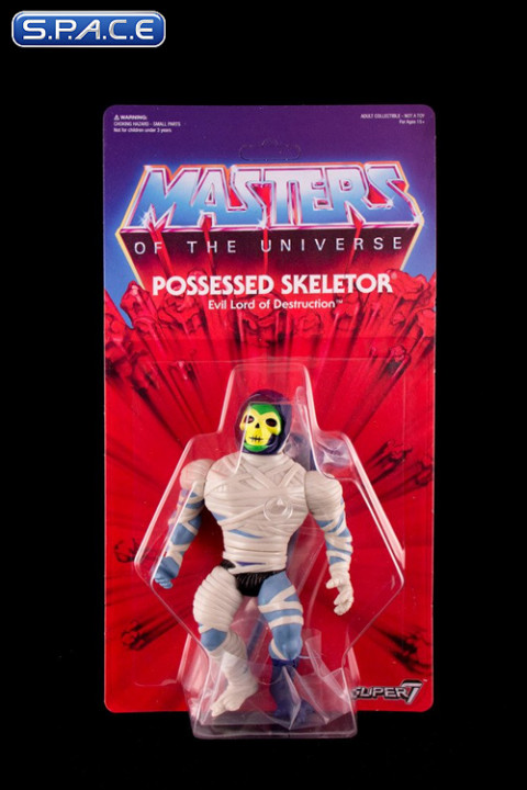 skeletor possessed