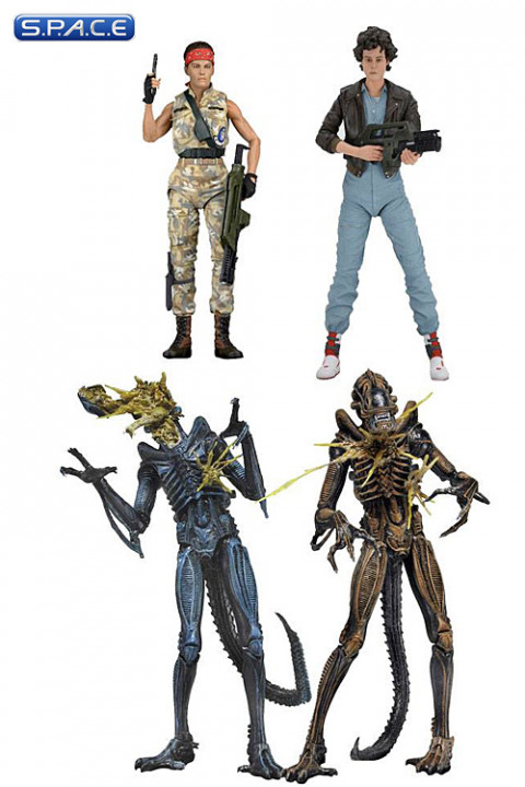 Aliens Serie 12 Assortment (14er Case)