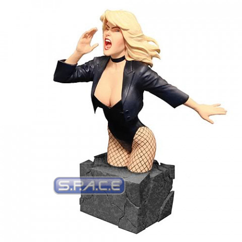 Black Canary Bust (Women of the DC Universe)