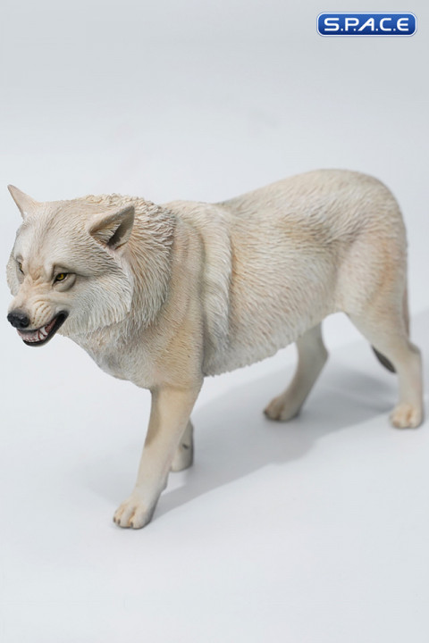 1/6 Scale Tibetan Wolf Version A1