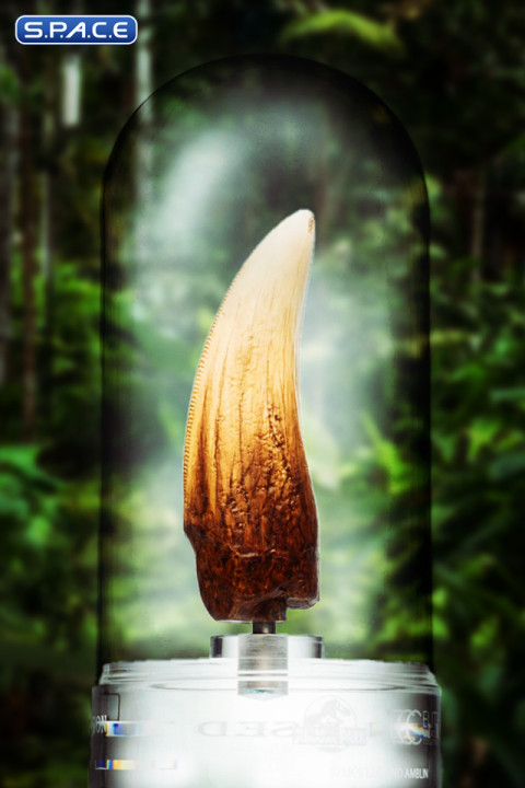 Screen Used T-Rex Tooth Replica (Jurassic Park)