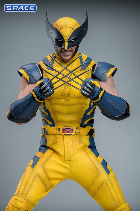 1/6 Scale Wolverine Movie Masterpiece MMS753 (Deadpool & Wolverine)