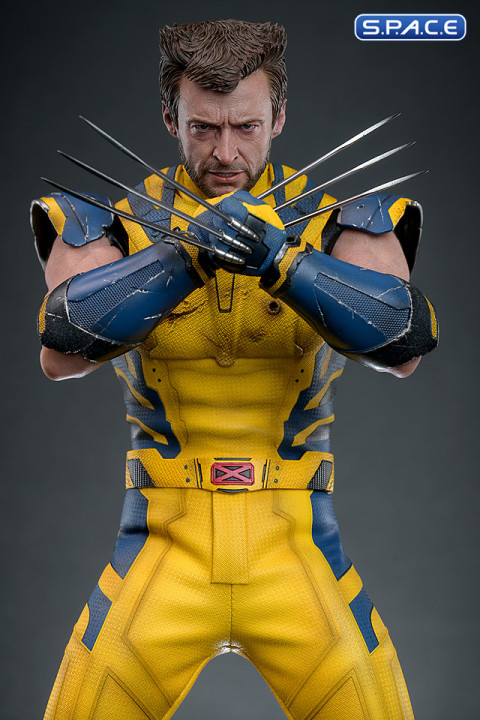 1/6 Scale Wolverine Deluxe Version Movie Masterpiece MMS754 (Deadpool & Wolverine)