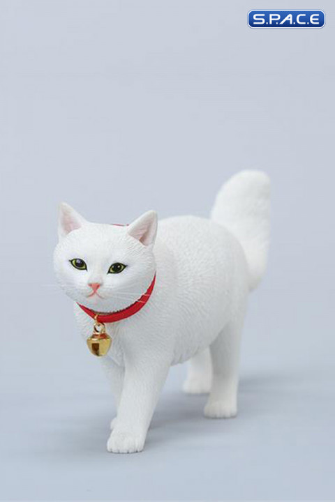 1/6 Scale chinese Rural Cat Version C