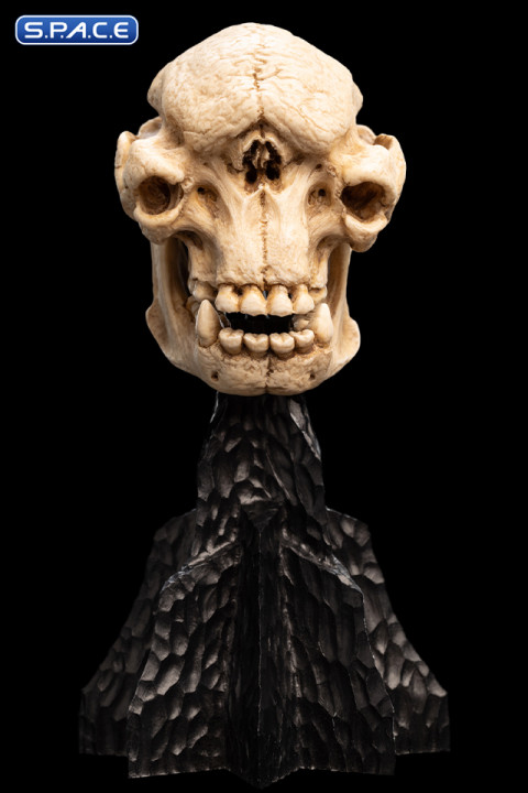 Skull of a Cave Troll (Lord of the Rings)