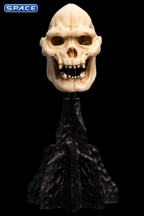 Skull of Lurtz (Lord of the Rings)