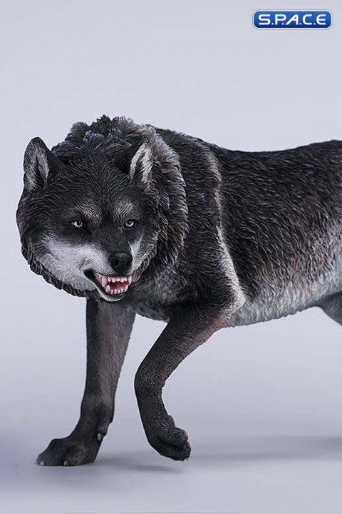 1/6 Scale Dire Wolf Version B