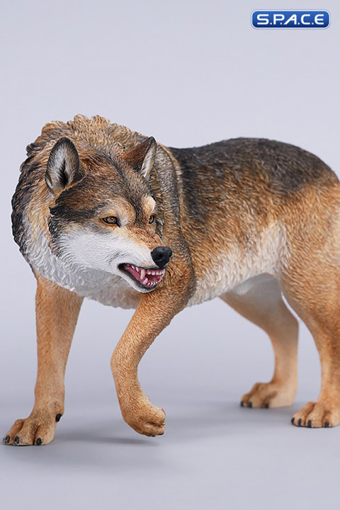 1/6 Scale Dire Wolf Version D