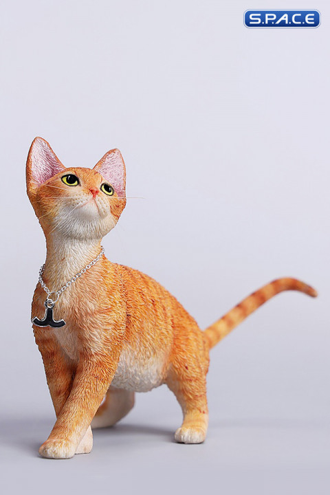 1/6 Scale Devon Rex Cat (red)