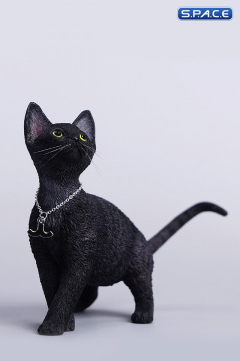 1/6 Scale Devon Rex Cat (black)