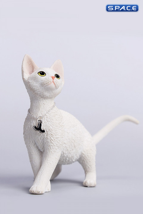 1/6 Scale Devon Rex Cat (white)