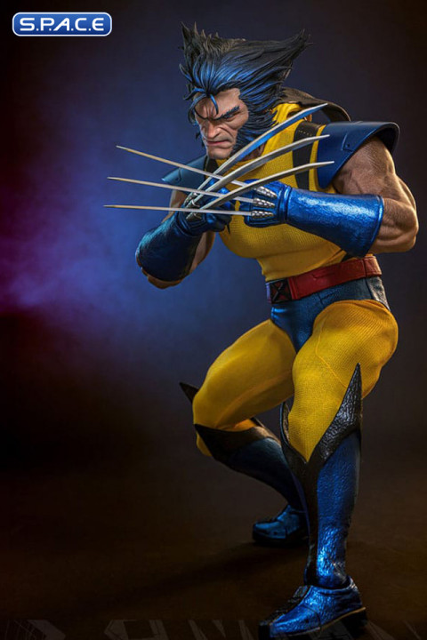 1/6 Scale Wolverine unmasked HS06 (Marvel)