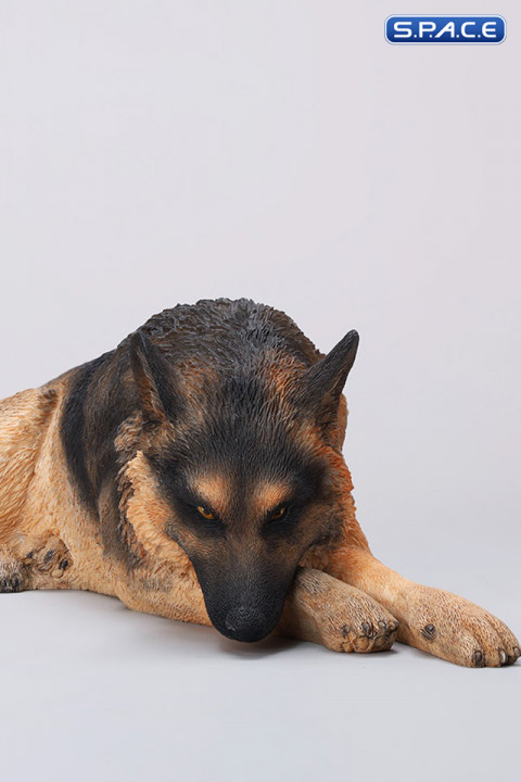 1/6 Scale lying German Shepherd (brown)