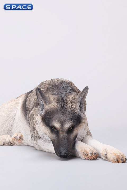 1/6 Scale lying German Shepherd (grey)