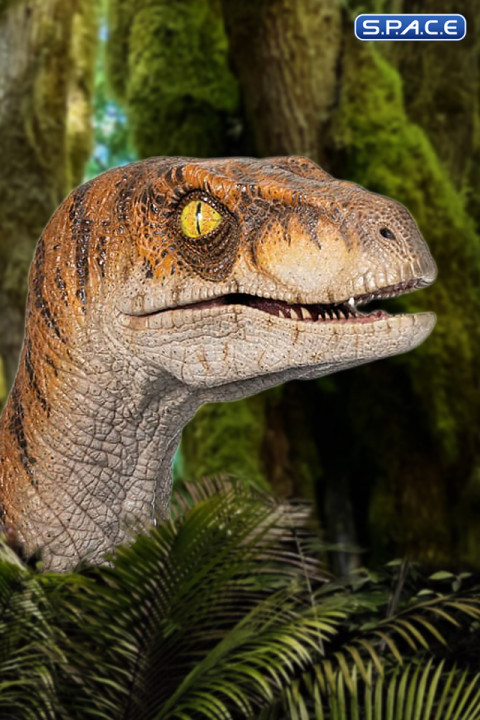 1:1 Male Raptor Life-Size Bust (The Lost World: Jurassic Park)