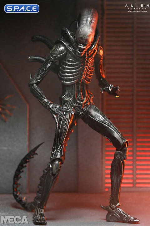 Ultimate Xenomorph XX121 (Alien: Romulus)