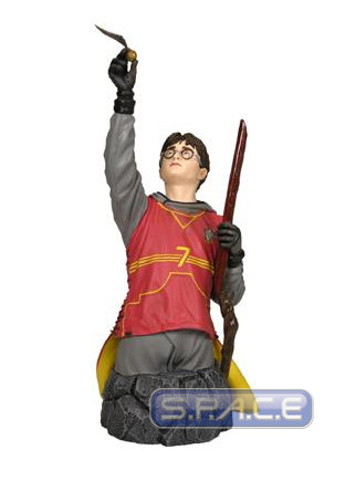 Harry Potter in Quidditch Gear Bust (Harry Potter)