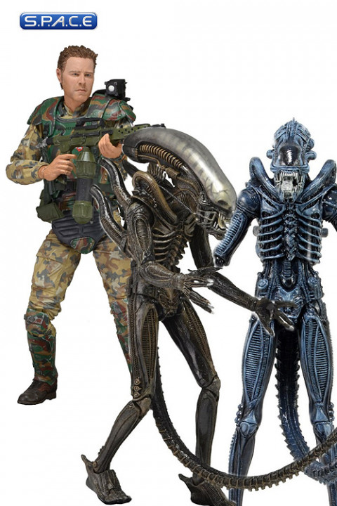 Aliens Series 2 Assortment (14er Case)