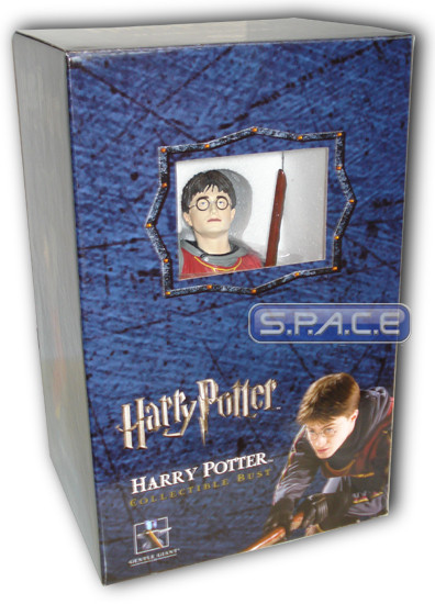 Harry Potter in Quidditch Gear Bust (Harry Potter)