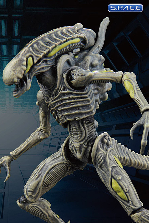 1/18 Scale Xenomorph Boiler (Aliens: Colonial Marines) - S.P.A.C.E ...