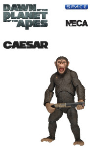 Dawn of the Planet of the Apes Series 2 Assortment (14er Case)