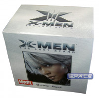 Storm Bust (X-Men 3)