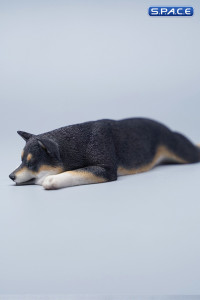 1/6 Scale Shiba Inu - sleeping on stomach (black)