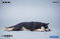 1/6 Scale Shiba Inu - sleeping on stomach (black)