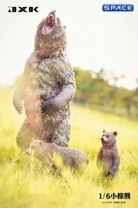 1/6 Scale little brown bear Version B3