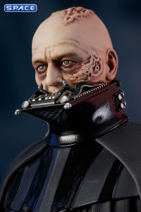 Darth Vader unhelmeted Bust (Star Wars)