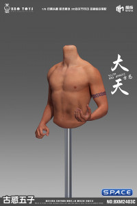 1/6 Scale seamless upper Body for Asian Gangster Version 3