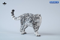 1/6 Scale Snow Leopard