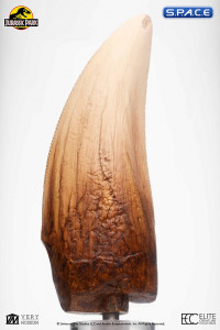 Screen Used T-Rex Tooth Replica (Jurassic Park)