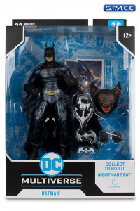 Batman from Batman Forever BAF (DC Multiverse)