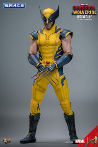 1/6 Scale Wolverine Movie Masterpiece MMS753 (Deadpool & Wolverine)