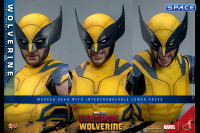 1/6 Scale Wolverine Movie Masterpiece MMS753 (Deadpool & Wolverine)