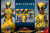 1/6 Scale Wolverine Movie Masterpiece MMS753 (Deadpool & Wolverine)