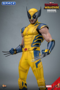 1/6 Scale Wolverine Movie Masterpiece MMS753 (Deadpool & Wolverine)