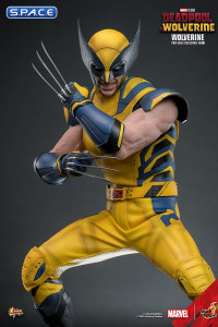 1/6 Scale Wolverine Movie Masterpiece MMS753 (Deadpool & Wolverine)