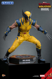 1/6 Scale Wolverine Movie Masterpiece MMS753 (Deadpool & Wolverine)