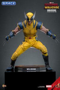 1/6 Scale Wolverine Movie Masterpiece MMS753 (Deadpool & Wolverine)