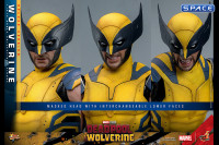 1/6 Scale Wolverine Deluxe Version Movie Masterpiece MMS754 (Deadpool & Wolverine)