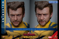 1/6 Scale Wolverine Deluxe Version Movie Masterpiece MMS754 (Deadpool & Wolverine)