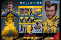 1/6 Scale Wolverine Deluxe Version Movie Masterpiece MMS754 (Deadpool & Wolverine)