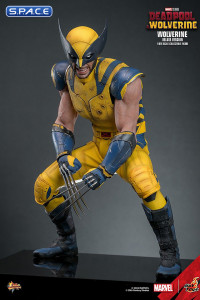 1/6 Scale Wolverine Deluxe Version Movie Masterpiece MMS754 (Deadpool & Wolverine)