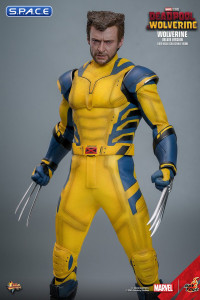 1/6 Scale Wolverine Deluxe Version Movie Masterpiece MMS754 (Deadpool & Wolverine)