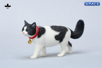 1/6 Scale chinese Rural Cat Version A