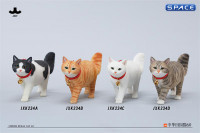 1/6 Scale chinese Rural Cat Version A