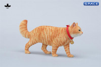 1/6 Scale chinese Rural Cat Version B